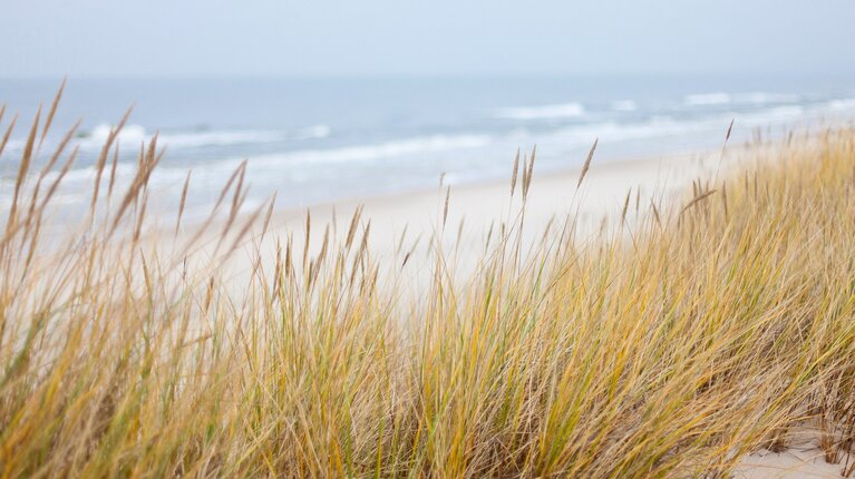 Der Strand gleich vor der Haustür