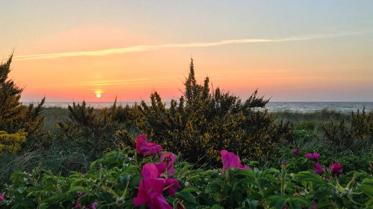 Sonnenuntergang am Naturstrand