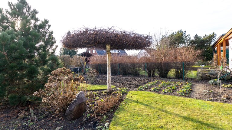 Gartenbereich für den eigenen Anbau