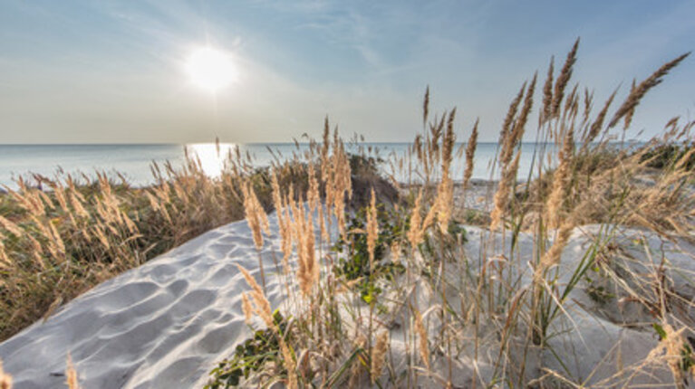 Der schöne Ostseestrand gleich vor der Tür