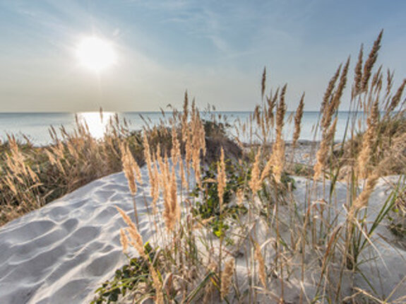 Der schöne Ostseestrand gleich vor der Tür
