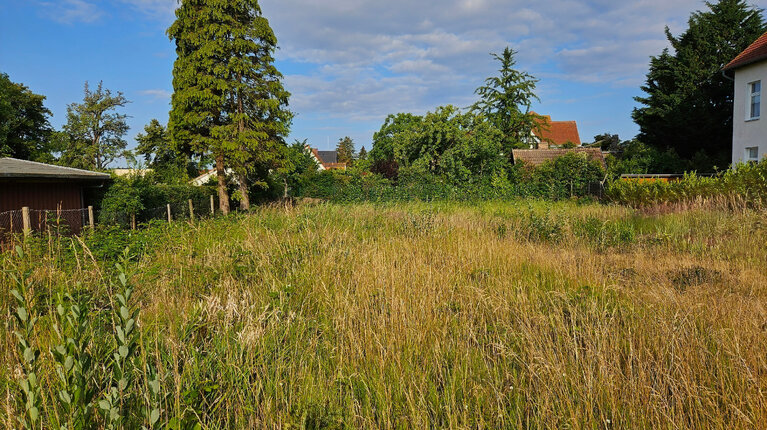 Blick nach West